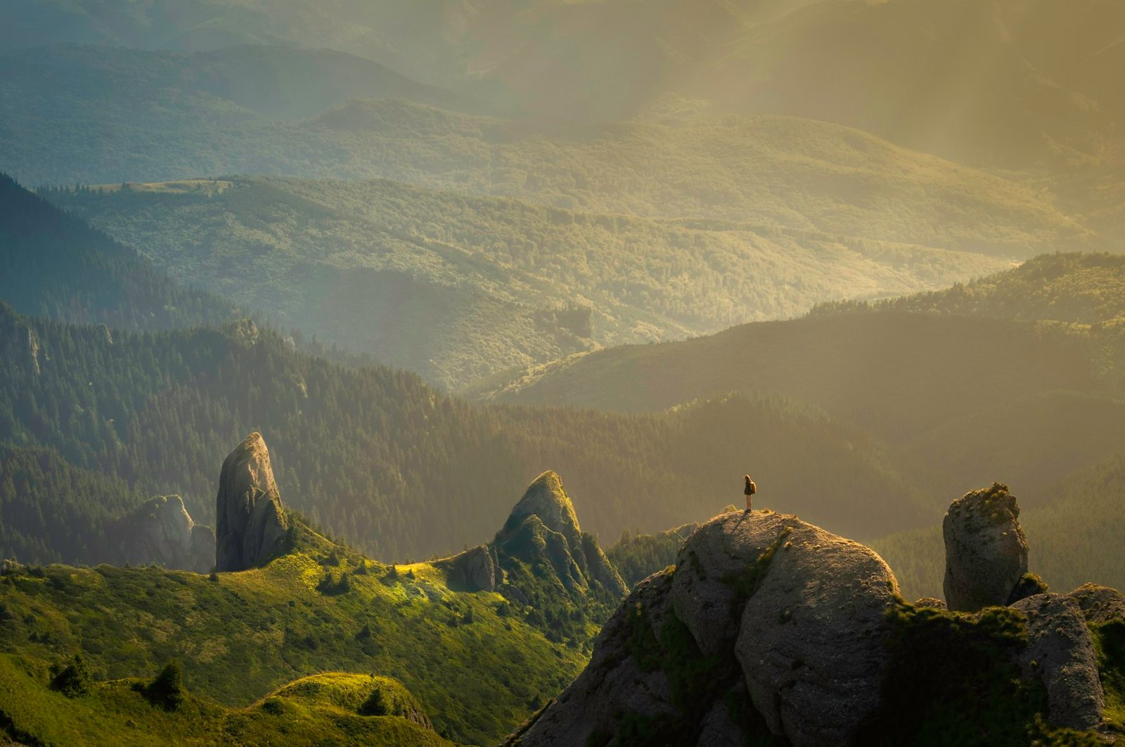 A person standing on a green ridge above forested mountains
